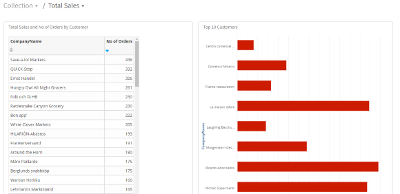 Limited access report view