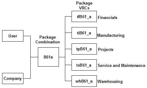 Example of a software environment with a standard package
		  combination