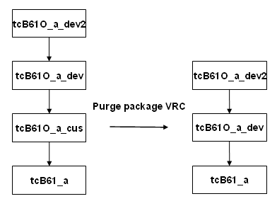 Package VRC derivation structure before and after the purge
		  procedure