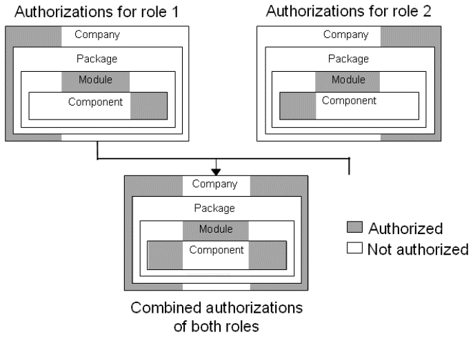 Example of combined authorizations for more than one role