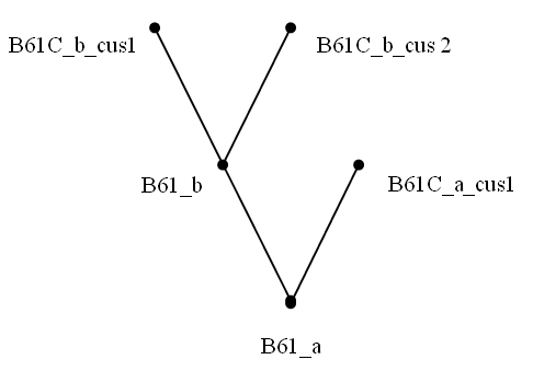 An example of a VRC derivation structure