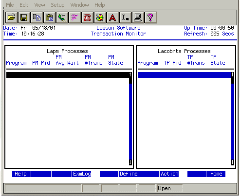 Form clip: The Transaction Monitor form