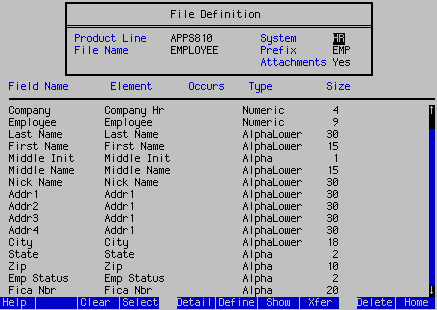 Form clip: The dbdef File Definition form.