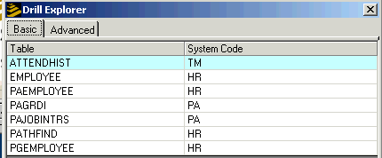 Form clip: Drill Explorer Basic tab