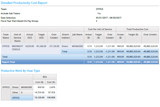 Healthcare - Detailed Productivity Cost Report