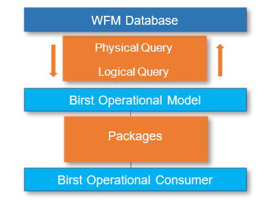 Birst Space Topology