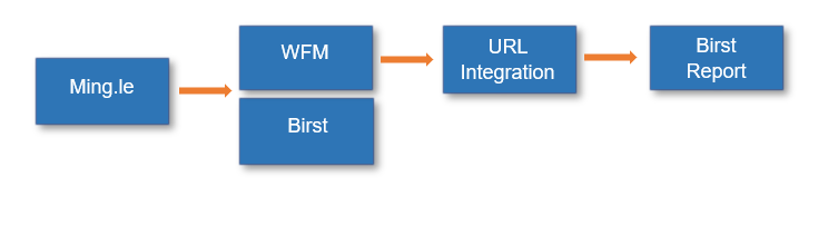 Integration with Birst