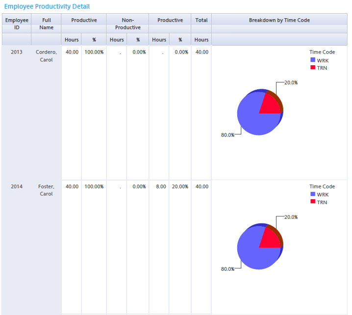 Graphical Employee Productivity Report