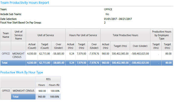 Healthcare - Team Productivity Hours Report