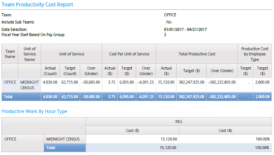 Healthcare - Team Productivity Cost Report