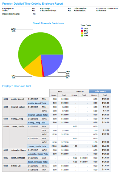 Premium Detailed Time Code by Employee