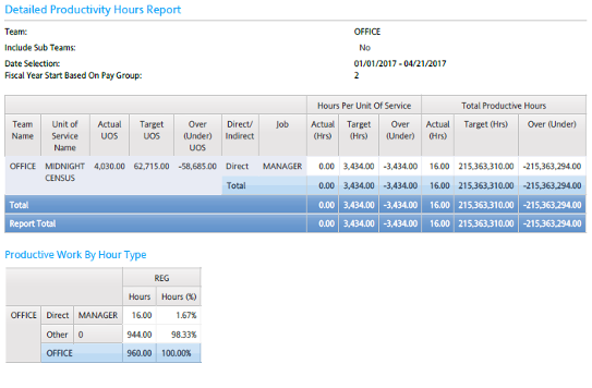 Healthcare - Detailed Productivity Hours Report